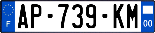 AP-739-KM