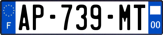 AP-739-MT