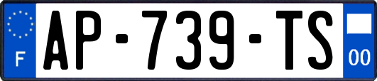 AP-739-TS