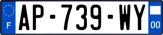 AP-739-WY