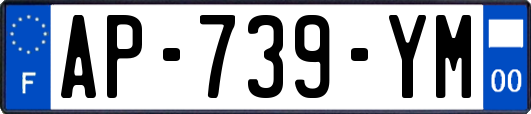 AP-739-YM