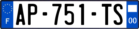 AP-751-TS