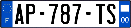 AP-787-TS