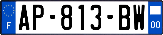 AP-813-BW