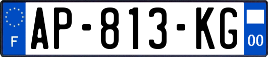 AP-813-KG