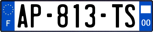 AP-813-TS