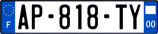 AP-818-TY