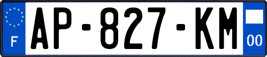 AP-827-KM