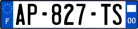 AP-827-TS