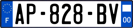 AP-828-BV