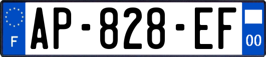 AP-828-EF