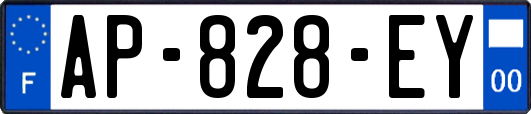 AP-828-EY