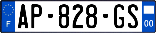 AP-828-GS