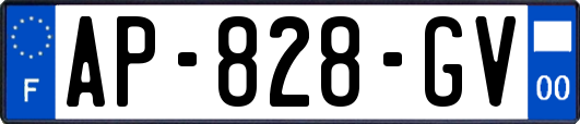 AP-828-GV