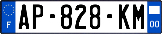 AP-828-KM
