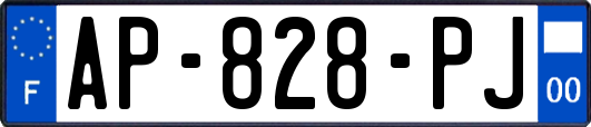 AP-828-PJ
