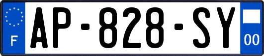 AP-828-SY