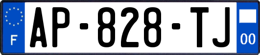 AP-828-TJ