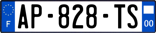 AP-828-TS