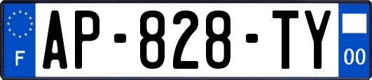 AP-828-TY