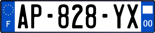 AP-828-YX