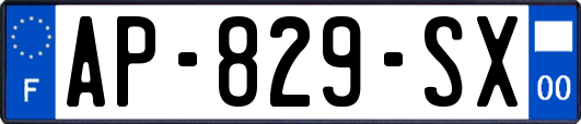 AP-829-SX