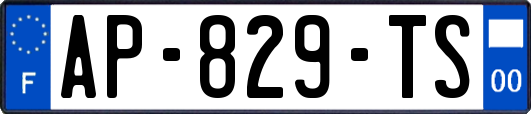 AP-829-TS