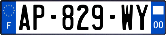 AP-829-WY