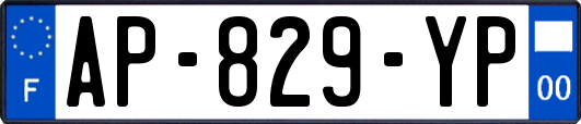 AP-829-YP
