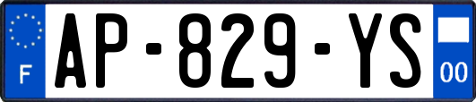 AP-829-YS