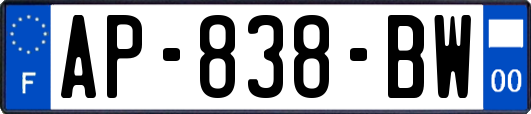 AP-838-BW