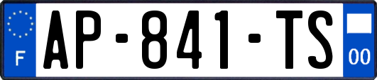 AP-841-TS