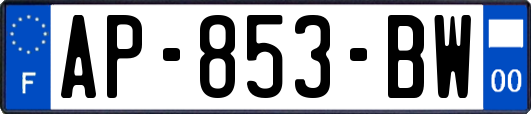 AP-853-BW