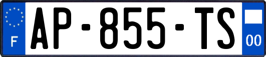 AP-855-TS