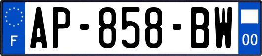 AP-858-BW