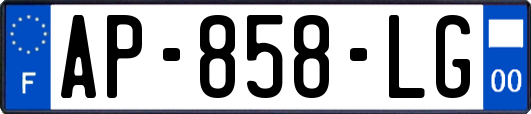 AP-858-LG