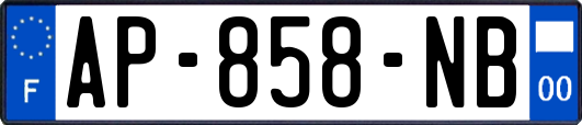 AP-858-NB
