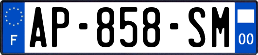 AP-858-SM