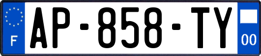 AP-858-TY