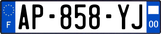 AP-858-YJ