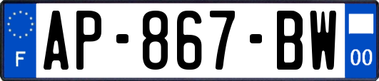 AP-867-BW