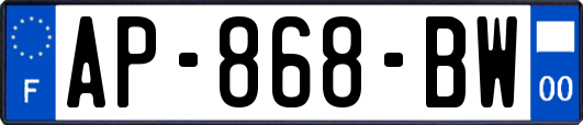 AP-868-BW