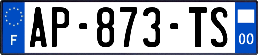 AP-873-TS
