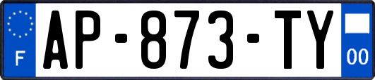 AP-873-TY