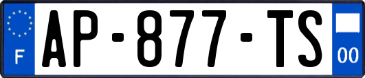 AP-877-TS