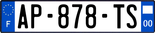 AP-878-TS