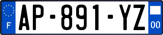 AP-891-YZ