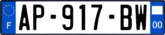 AP-917-BW