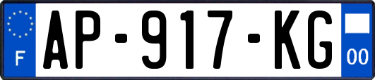 AP-917-KG