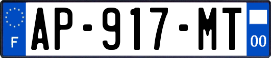 AP-917-MT